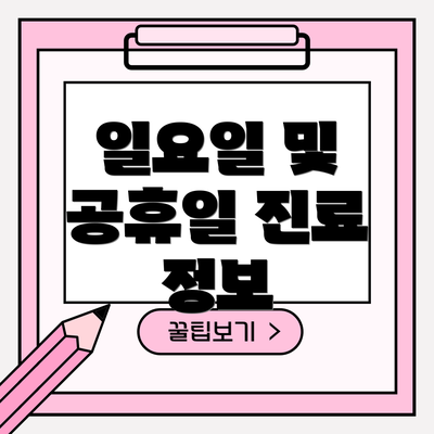 일요일 및 공휴일 진료 정보