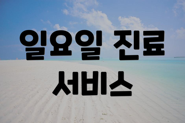 일요일 진료 서비스