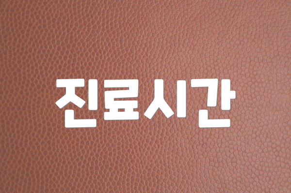 진료시간