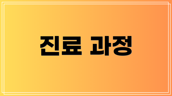 진료 과정