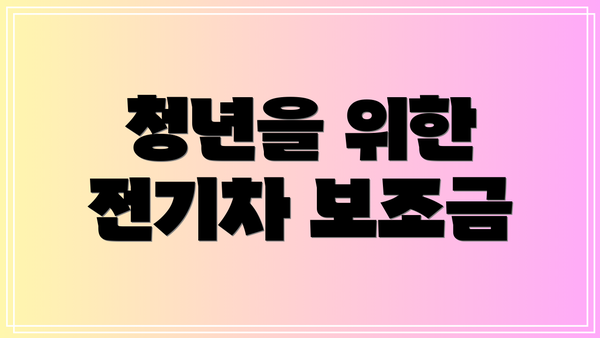 청년을 위한 전기차 보조금