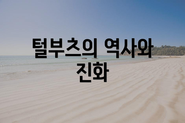 털부츠의 역사와 진화