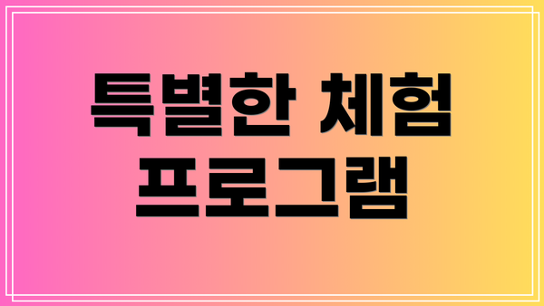 특별한 체험 프로그램