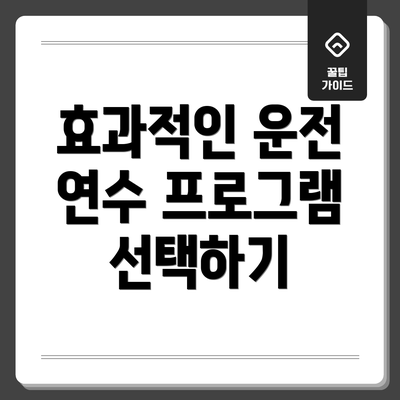효과적인 운전 연수 프로그램 선택하기