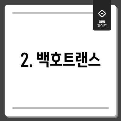 2. 백호트랜스
