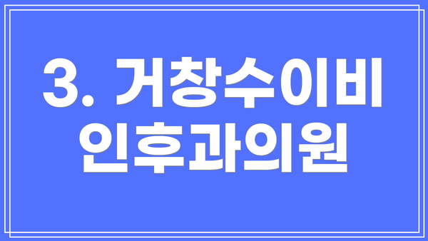 3. 거창수이비인후과의원