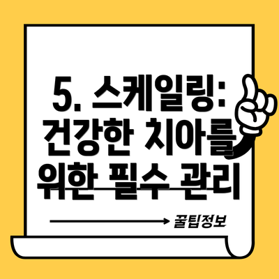 5. 스케일링: 건강한 치아를 위한 필수 관리