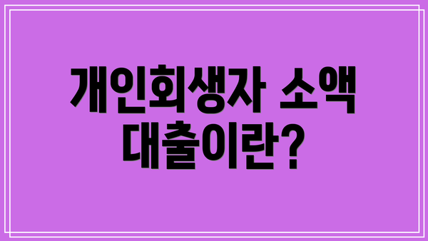 개인회생자 소액 대출이란?
