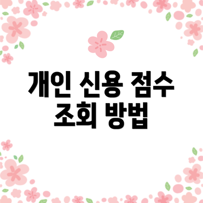 개인 신용 점수 조회 방법