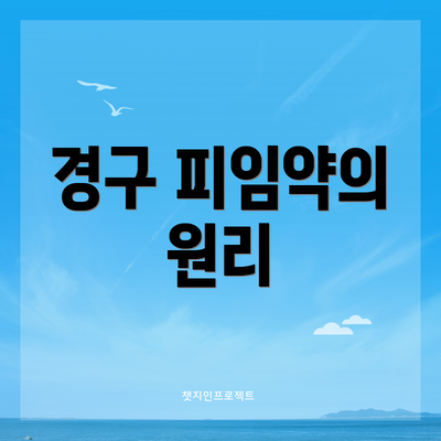 경구 피임약의 원리