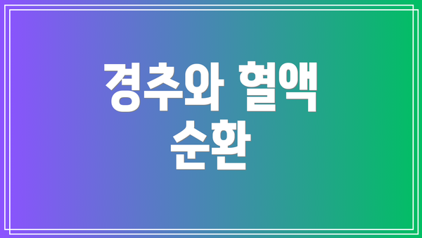 경추와 혈액 순환