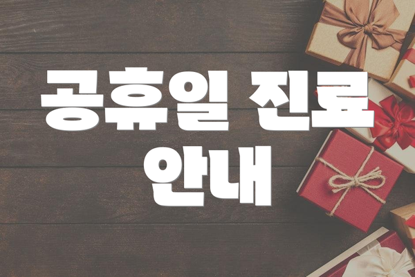 공휴일 진료 안내