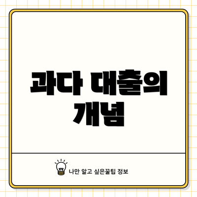 과다 대출의 개념