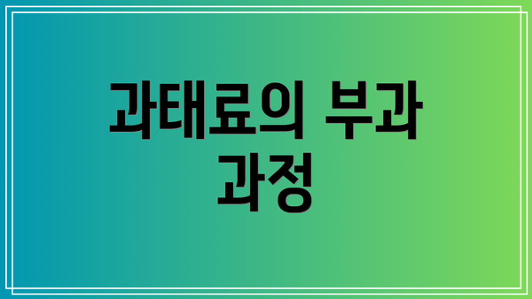 과태료의 부과 과정