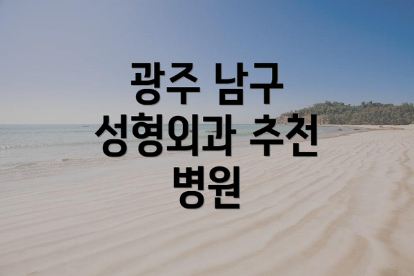 광주 남구 성형외과 추천 병원