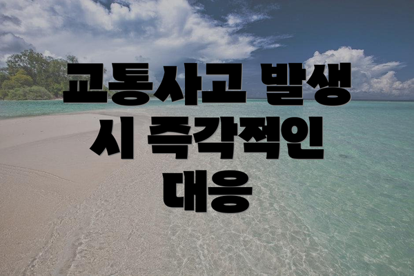 교통사고 발생 시 즉각적인 대응