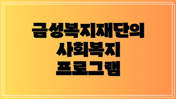금성복지재단의 사회복지 프로그램