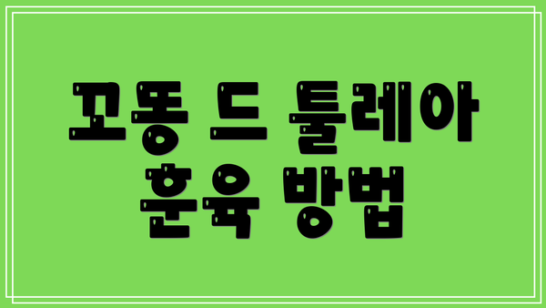 꼬똥 드 툴레아 훈육 방법
