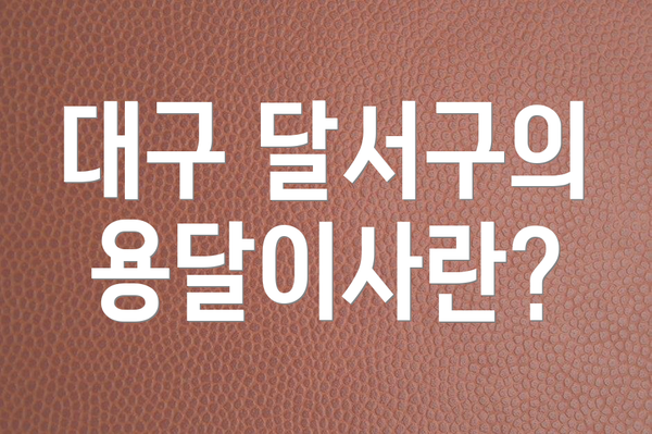 대구 달서구의 용달이사란?