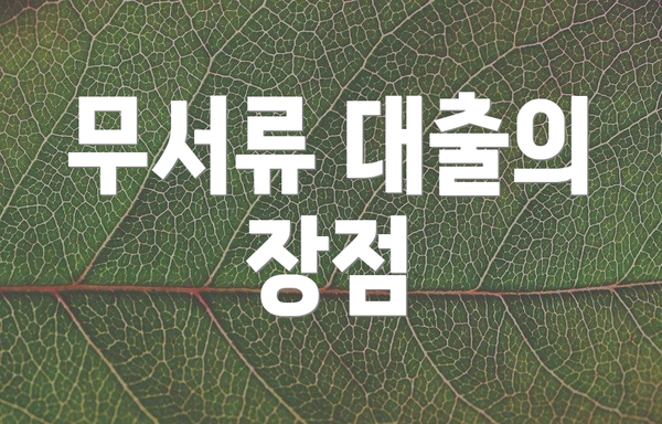 무서류 대출의 장점