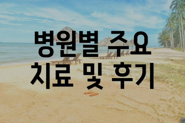 병원별 주요 치료 및 후기