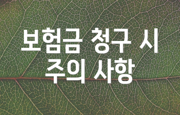 보험금 청구 시 주의 사항