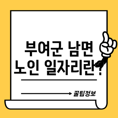 부여군 남면 노인 일자리란?