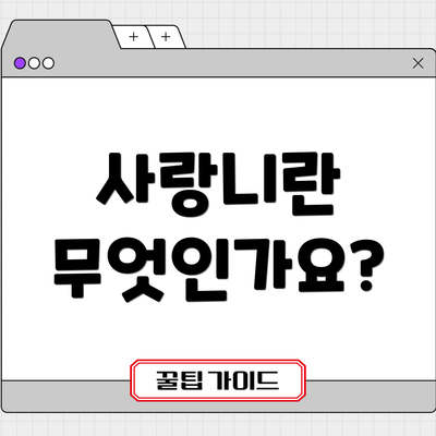 사랑니란 무엇인가요?