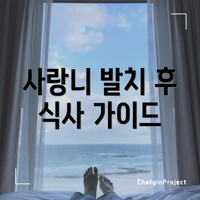 사랑니 발치 후 식사 가이드