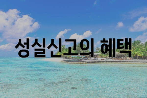 성실신고의 혜택