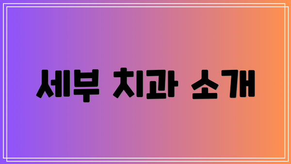 세부 치과 소개