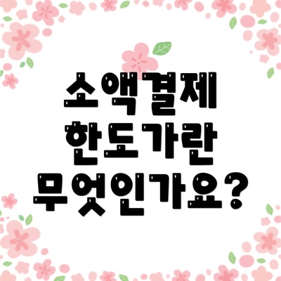 소액결제 한도가란 무엇인가요?