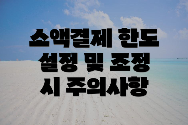 소액결제 한도 설정 및 조정 시 주의사항
