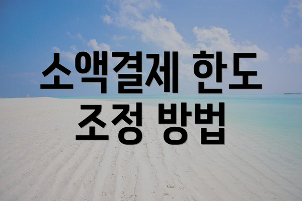 소액결제 한도 조정 방법