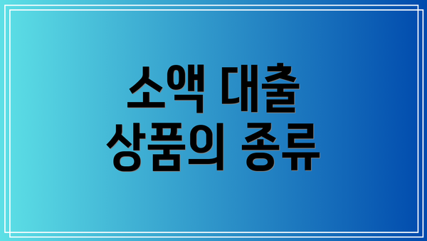소액 대출 상품의 종류