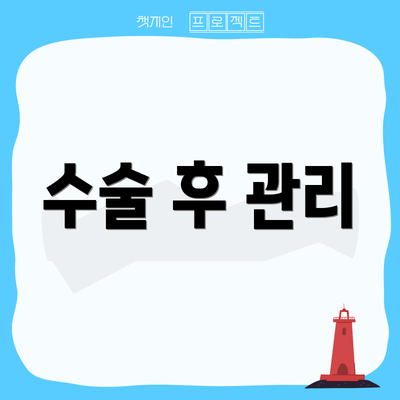 수술 후 관리