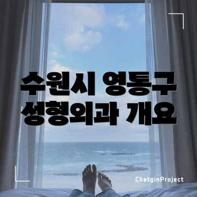 수원시 영통구 성형외과 개요