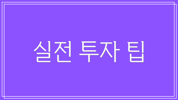 실전 투자 팁
