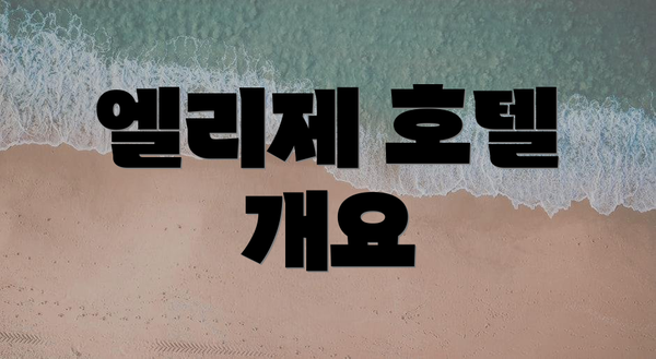 엘리제 호텔 개요
