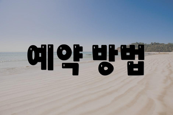예약 방법