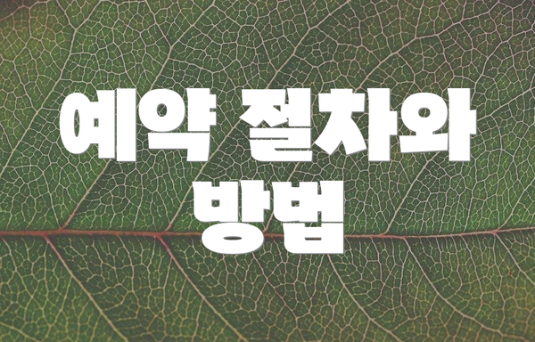 예약 절차와 방법