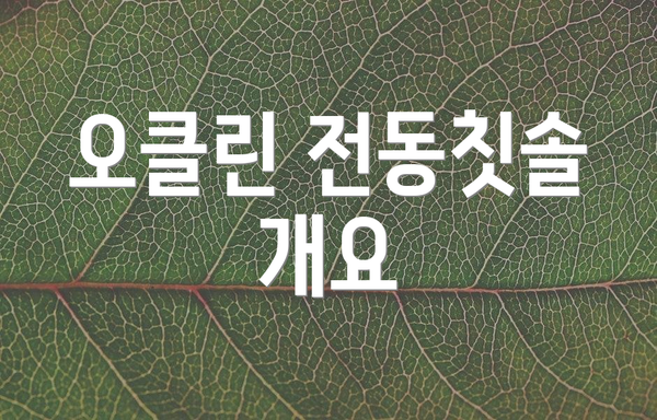 오클린 전동칫솔 개요