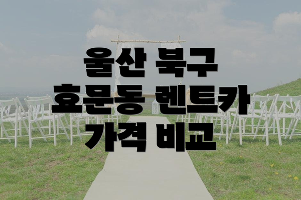 울산 북구 효문동 렌트카 가격 비교