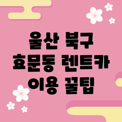 울산 북구 효문동 렌트카 이용 꿀팁