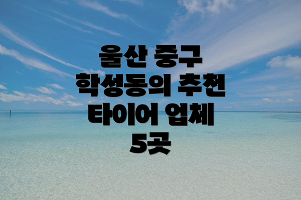 울산 중구 학성동의 추천 타이어 업체 5곳