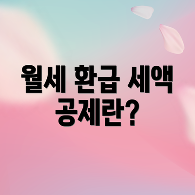 월세 환급 세액 공제란?