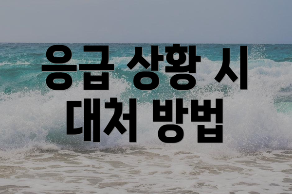 응급 상황 시 대처 방법