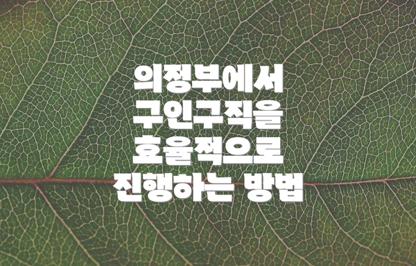 의정부에서 구인구직을 효율적으로 진행하는 방법
