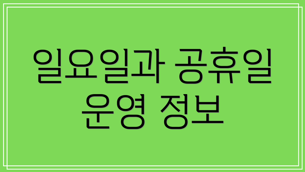 일요일과 공휴일 운영 정보