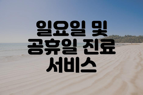 일요일 및 공휴일 진료 서비스
